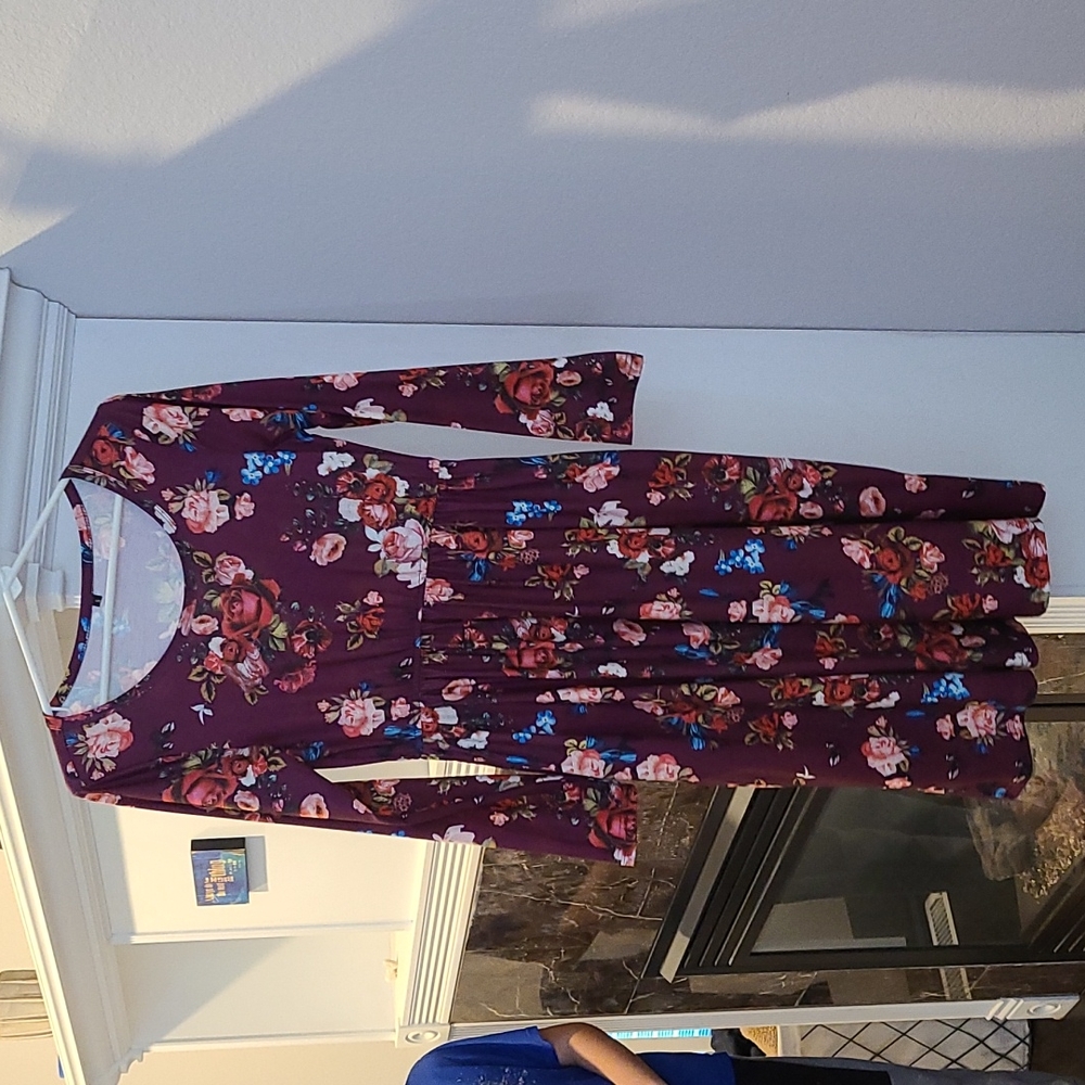 Long sleeved fall dress